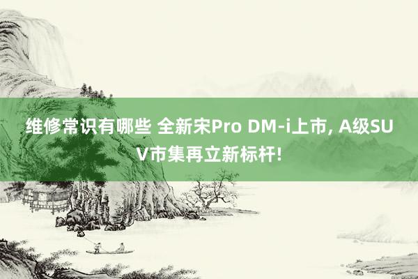 维修常识有哪些 全新宋Pro DM-i上市, A级SUV市集再立新标杆!