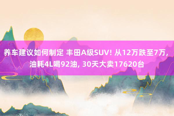 养车建议如何制定 丰田A级SUV! 从12万跌至7万, 油耗4L喝92油, 30天大卖17620台