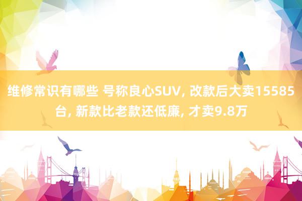 维修常识有哪些 号称良心SUV, 改款后大卖15585台, 新款比老款还低廉, 才卖9.8万