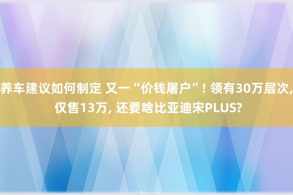 养车建议如何制定 又一“价钱屠户”! 领有30万层次, 仅售13万, 还要啥比亚迪宋PLUS?