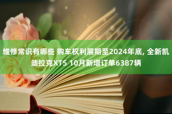 维修常识有哪些 购车权利展期至2024年底, 全新凯迪拉克XT5 10月新增订单6387辆