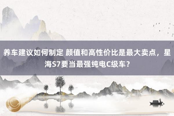 养车建议如何制定 颜值和高性价比是最大卖点，星海S7要当最强纯电C级车？