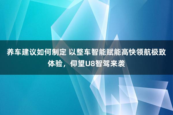 养车建议如何制定 以整车智能赋能高快领航极致体验，仰望U8智驾来袭