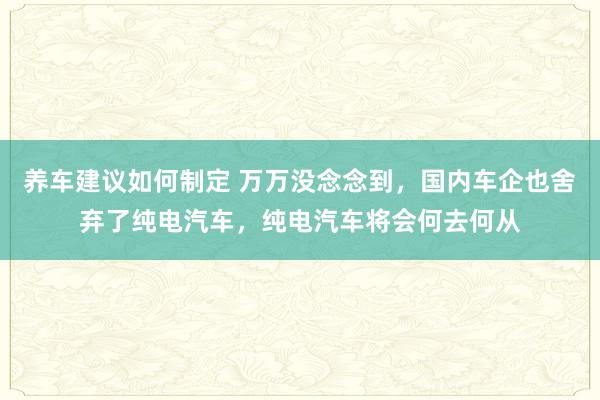 养车建议如何制定 万万没念念到，国内车企也舍弃了纯电汽车，纯电汽车将会何去何从