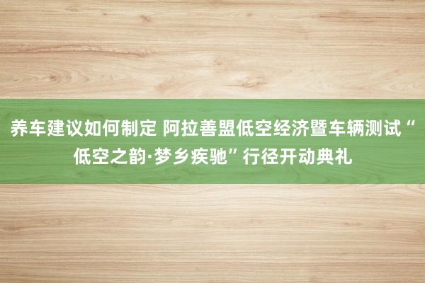 养车建议如何制定 阿拉善盟低空经济暨车辆测试“低空之韵·梦乡疾驰”行径开动典礼