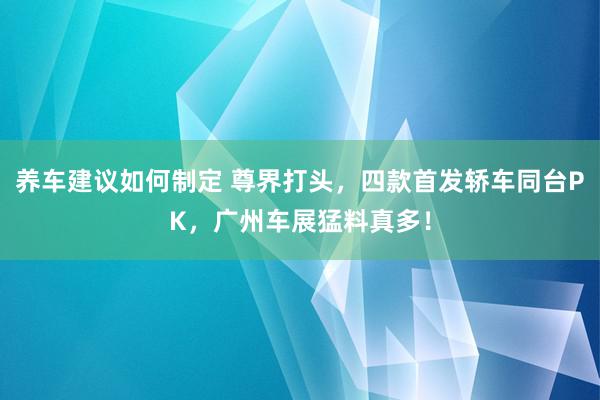 养车建议如何制定 尊界打头，四款首发轿车同台PK，广州车展猛料真多！