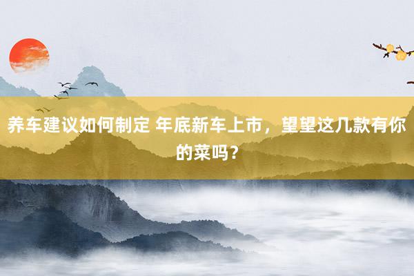 养车建议如何制定 年底新车上市，望望这几款有你的菜吗？