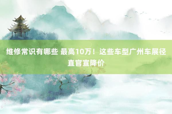 维修常识有哪些 最高10万！这些车型广州车展径直官宣降价