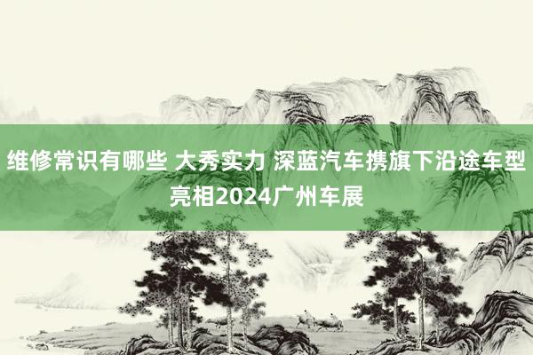 维修常识有哪些 大秀实力 深蓝汽车携旗下沿途车型亮相2024广州车展