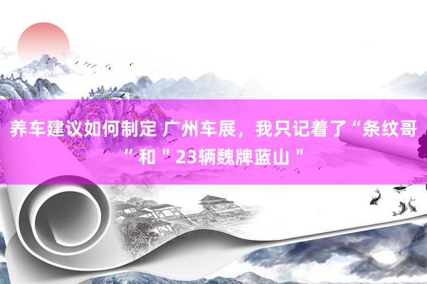 养车建议如何制定 广州车展，我只记着了“条纹哥”和＂23辆魏牌蓝山＂