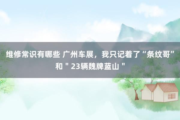 维修常识有哪些 广州车展，我只记着了“条纹哥”和＂23辆魏牌蓝山＂