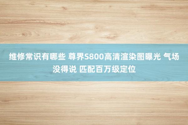 维修常识有哪些 尊界S800高清渲染图曝光 气场没得说 匹配百万级定位