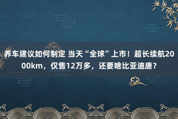 养车建议如何制定 当天“全球”上市！超长续航2000km，仅售12万多，还要啥比亚迪唐？