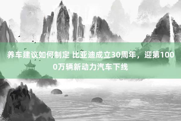 养车建议如何制定 比亚迪成立30周年，迎第1000万辆新动力汽车下线