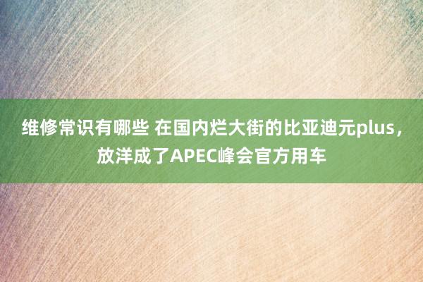 维修常识有哪些 在国内烂大街的比亚迪元plus，放洋成了APEC峰会官方用车