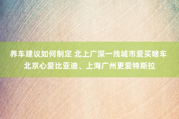 养车建议如何制定 北上广深一线城市爱买啥车 北京心爱比亚迪、上海广州更爱特斯拉