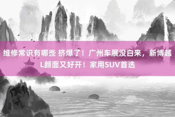 维修常识有哪些 挤爆了！广州车展没白来，新博越L颜面又好开！家用SUV首选