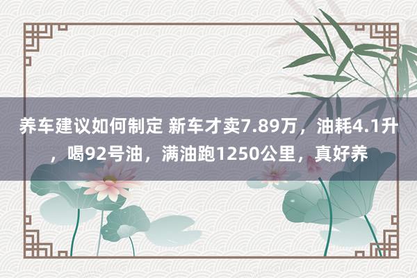 养车建议如何制定 新车才卖7.89万，油耗4.1升，喝92号油，满油跑1250公里，真好养