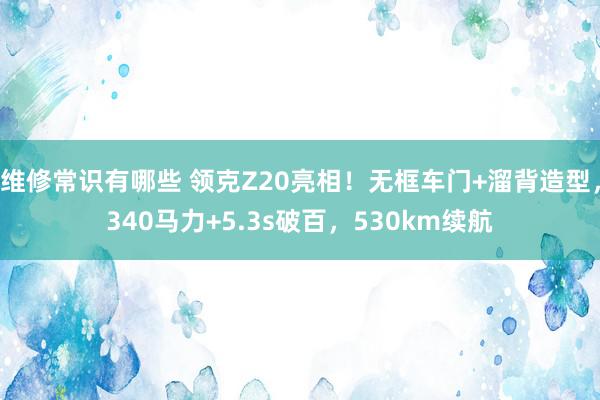 维修常识有哪些 领克Z20亮相！无框车门+溜背造型，340马力+5.3s破百，530km续航