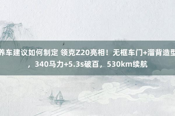 养车建议如何制定 领克Z20亮相！无框车门+溜背造型，340马力+5.3s破百，530km续航