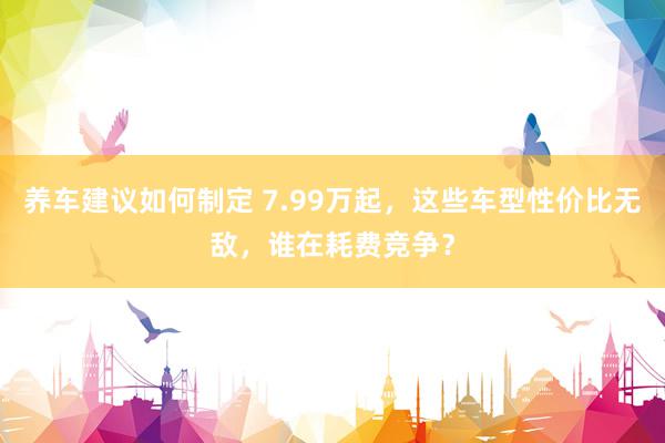 养车建议如何制定 7.99万起，这些车型性价比无敌，谁在耗费竞争？