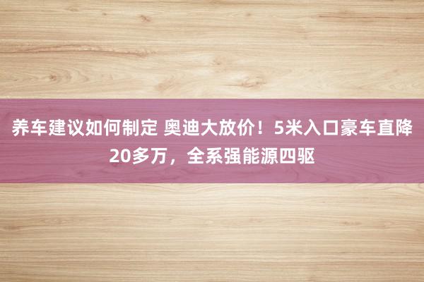 养车建议如何制定 奥迪大放价！5米入口豪车直降20多万，全系强能源四驱