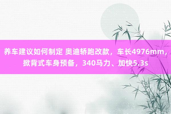 养车建议如何制定 奥迪轿跑改款，车长4976mm，掀背式车身预备，340马力、加快5.3s