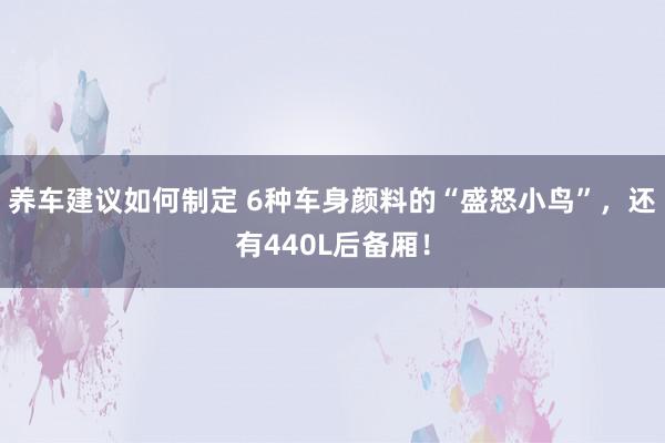 养车建议如何制定 6种车身颜料的“盛怒小鸟”，还有440L后备厢！