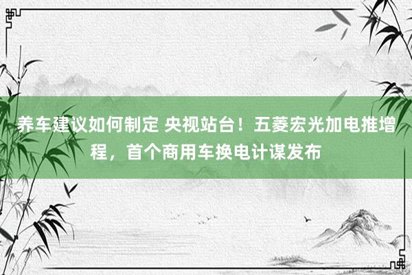 养车建议如何制定 央视站台！五菱宏光加电推增程，首个商用车换电计谋发布