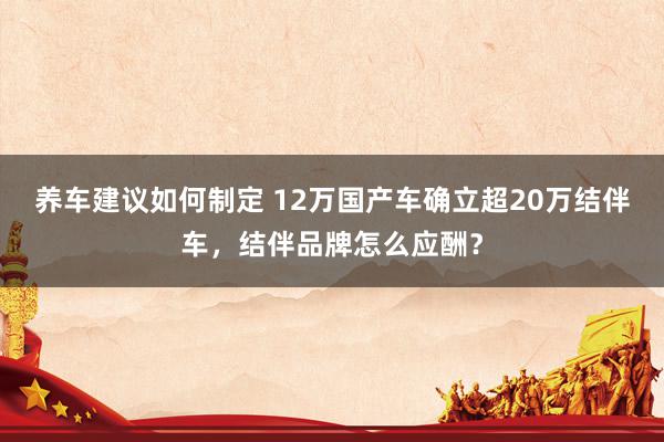 养车建议如何制定 12万国产车确立超20万结伴车，结伴品牌怎么应酬？