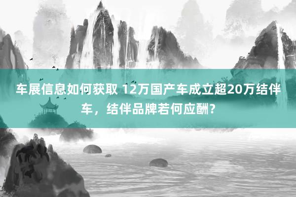 车展信息如何获取 12万国产车成立超20万结伴车，结伴品牌若何应酬？