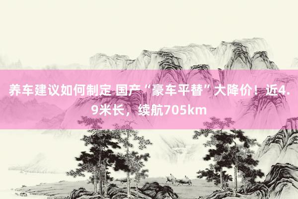 养车建议如何制定 国产“豪车平替”大降价！近4.9米长，续航705km