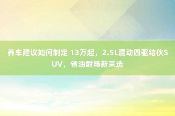 养车建议如何制定 13万起，2.5L混动四驱结伙SUV，省油酣畅新采选