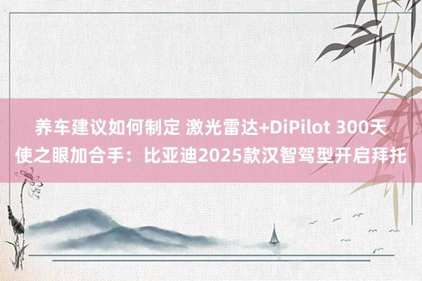 养车建议如何制定 激光雷达+DiPilot 300天使之眼加合手：比亚迪2025款汉智驾型开启拜托