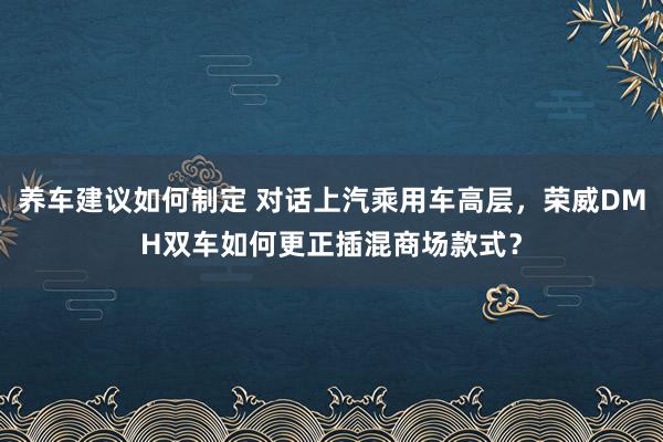 养车建议如何制定 对话上汽乘用车高层，荣威DMH双车如何更正插混商场款式？