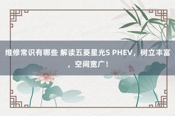 维修常识有哪些 解读五菱星光S PHEV，树立丰富，空间宽广！