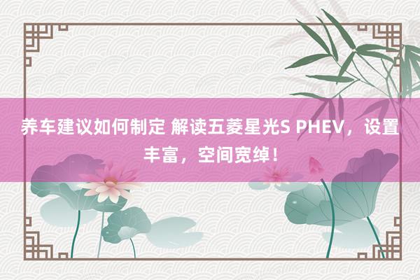 养车建议如何制定 解读五菱星光S PHEV，设置丰富，空间宽绰！