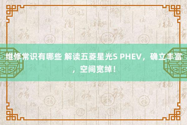 维修常识有哪些 解读五菱星光S PHEV，确立丰富，空间宽绰！