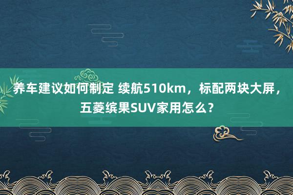 养车建议如何制定 续航510km，标配两块大屏，五菱缤果SUV家用怎么？