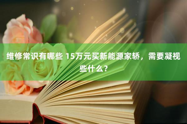 维修常识有哪些 15万元买新能源家轿，需要凝视些什么？