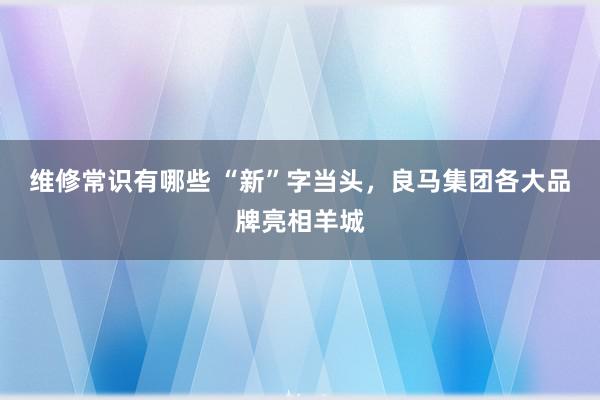 维修常识有哪些 “新”字当头，良马集团各大品牌亮相羊城