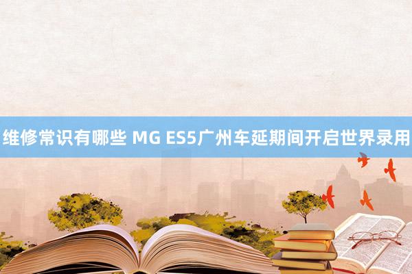 维修常识有哪些 MG ES5广州车延期间开启世界录用