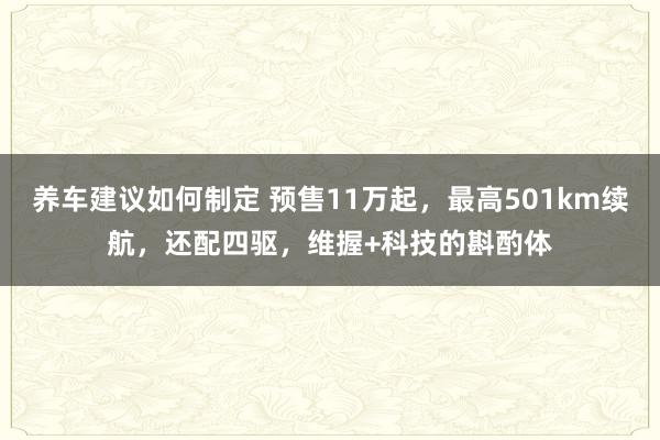 养车建议如何制定 预售11万起，最高501km续航，还配四驱，维握+科技的斟酌体