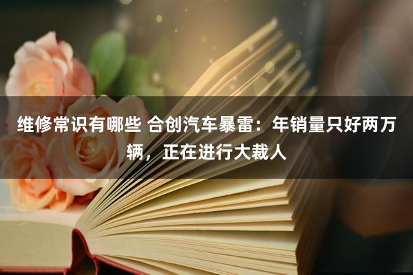 维修常识有哪些 合创汽车暴雷：年销量只好两万辆，正在进行大裁人