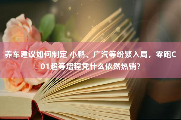 养车建议如何制定 小鹏、广汽等纷繁入局，零跑C01超等增程凭什么依然热销？