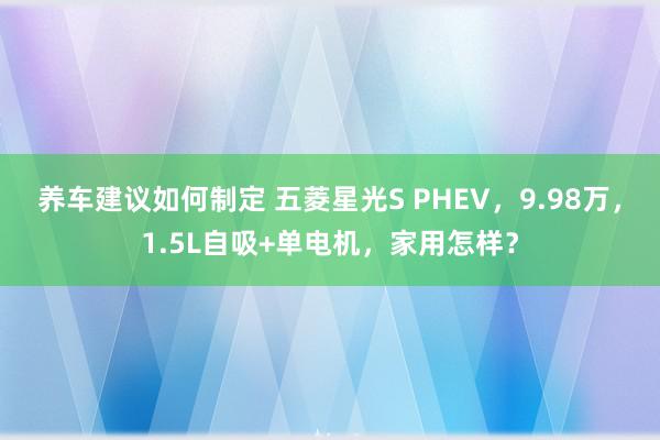 养车建议如何制定 五菱星光S PHEV，9.98万，1.5L自吸+单电机，家用怎样？