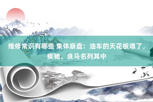 维修常识有哪些 集体崩盘：油车的天花板塌了，疾驰、良马名列其中