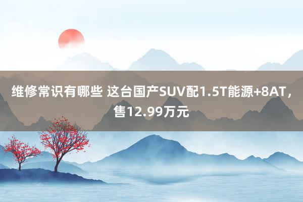 维修常识有哪些 这台国产SUV配1.5T能源+8AT，售12.99万元