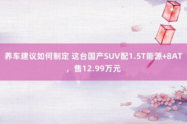 养车建议如何制定 这台国产SUV配1.5T能源+8AT，售12.99万元