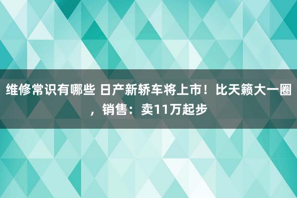 维修常识有哪些 日产新轿车将上市！比天籁大一圈，销售：卖11万起步